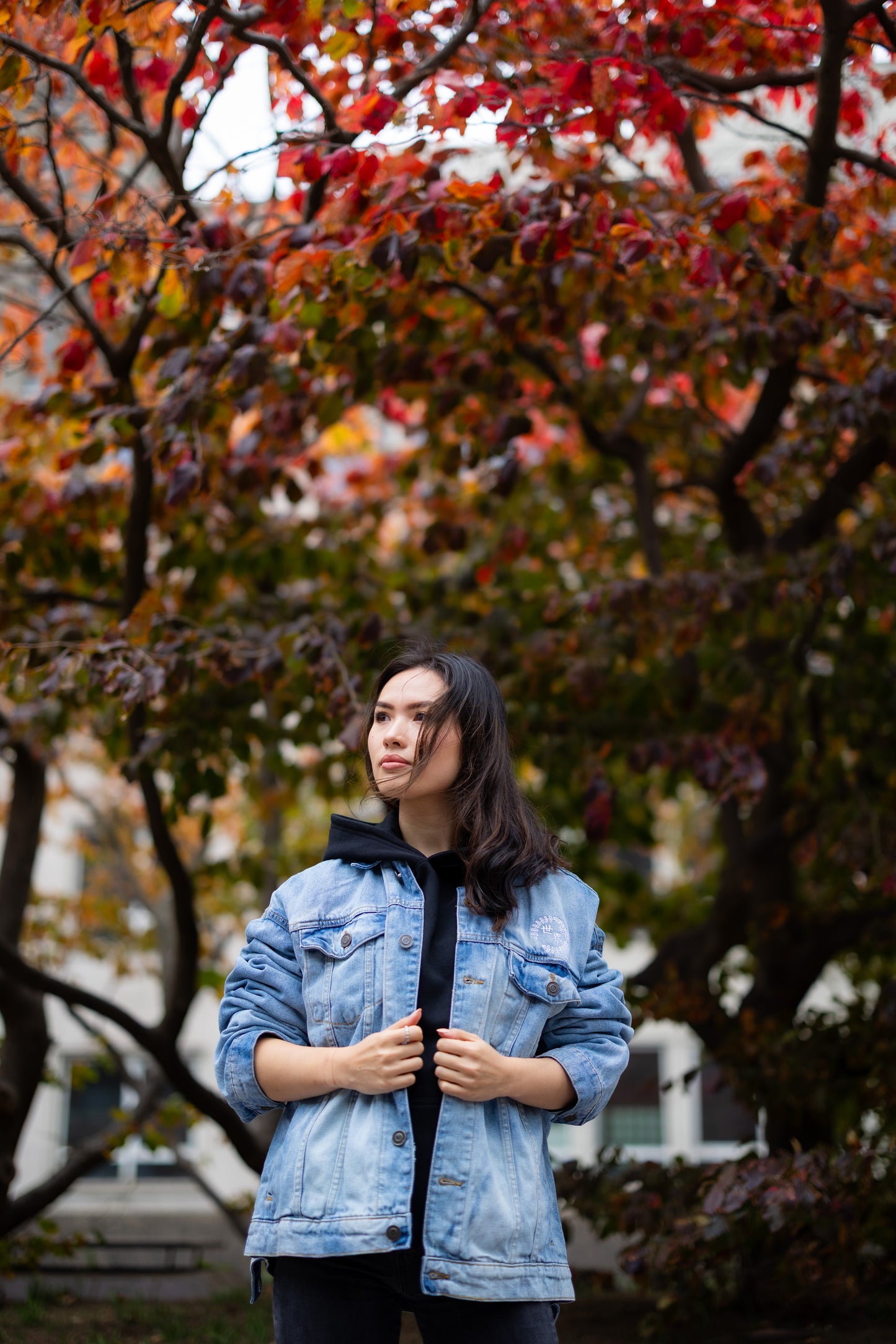 Mount Fuji Embroidered Heavy Denim Jacket