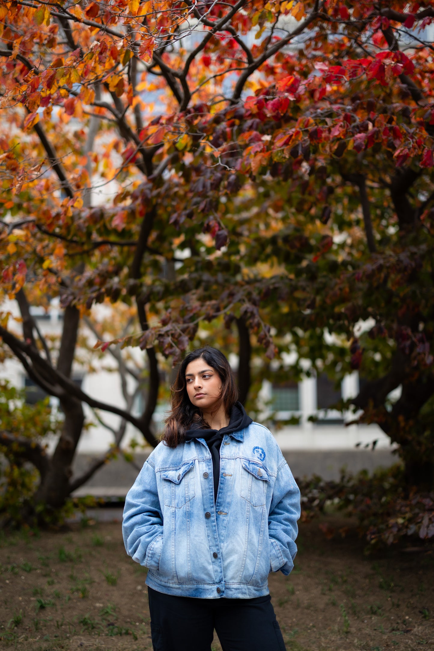 Way of the Samurai Embroidered Heavy Denim Jacket
